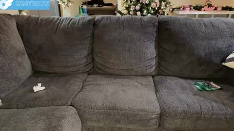 MrSteeleXXX - snapchat online show from November 30, 4:03 am