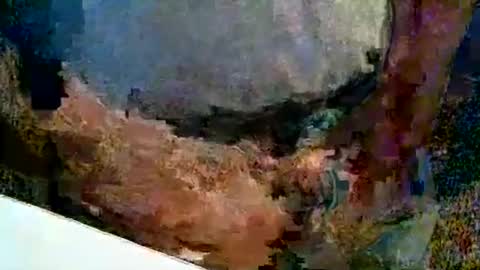 1chris505 online show from November 24, 1:28 am