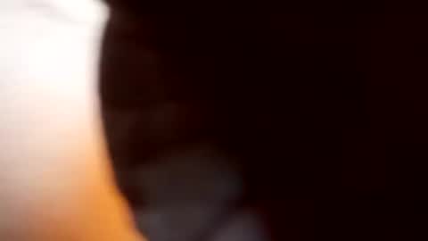 1injecttoys_ online show from January 11, 7:34 am