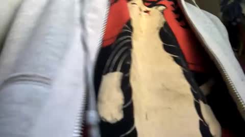 6990fiko online show from February 27, 12:23 pm