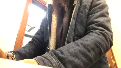 6990fiko online show from February 6, 9:53 am