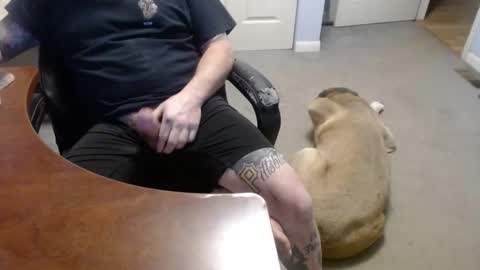 MASTIFF online show from January 16, 3:09 am