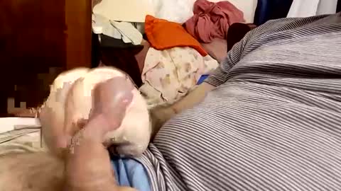 _black_horse_1 online show from December 16, 4:02 am