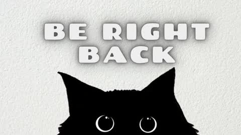 Ask me online show from January 12, 8:13 pm