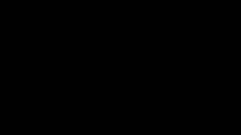 tim online show from February 24, 7:58 pm