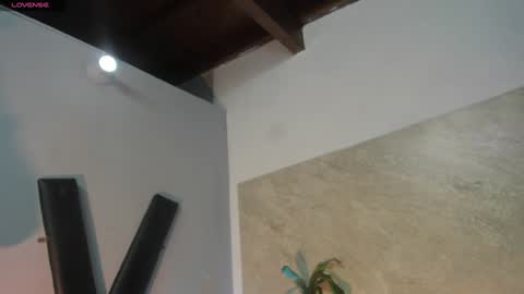 ada_brooke online show from January 15, 3:22 am