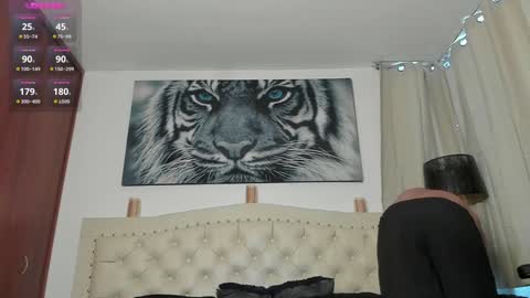 Adams online show from December 5, 12:33 pm