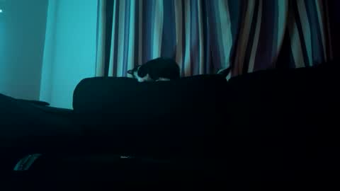 alex_essex69 online show from September 22, 3:28 am