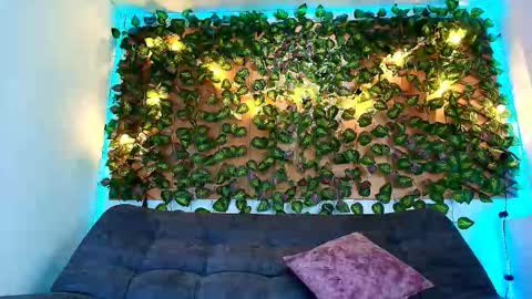 Alex Collin online show from November 12, 1:06 pm