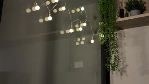 Snapshot of alexwos chatting on January 23, 6:17 am Alex online show from January 23, 6:17 am