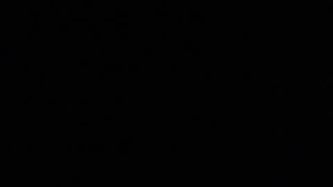 ALongwhitedick online show from December 19, 9:17 am