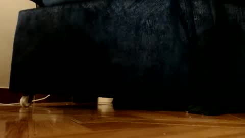 ur god online show from March 1, 12:10 am