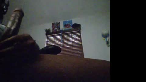 Mustang online show from January 13, 10:03 pm