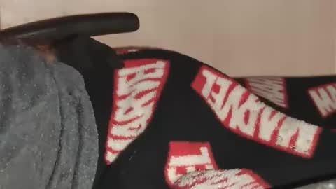 chris online show from December 24, 5:05 am