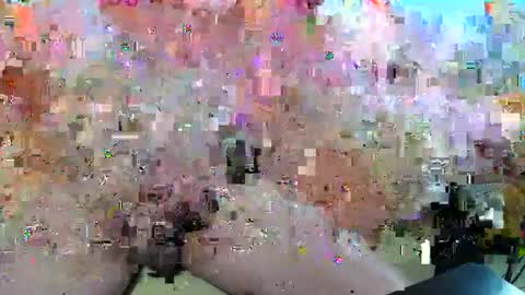 Andi online show from November 20, 4:34 am