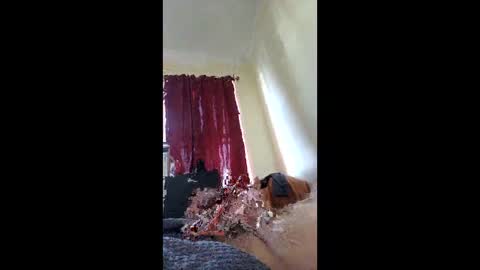 andrew_142600 online show from March 17, 12:40 pm