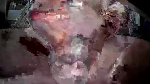 Snapshot of andrewkam1 chatting on March 11, 2:54 am andrewkam1 online show from March 11, 2:54 am