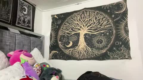 Andy online show from February 26, 1:30 pm