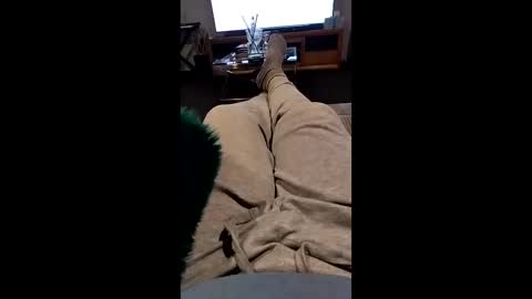 Andy online show from November 16, 10:06 am