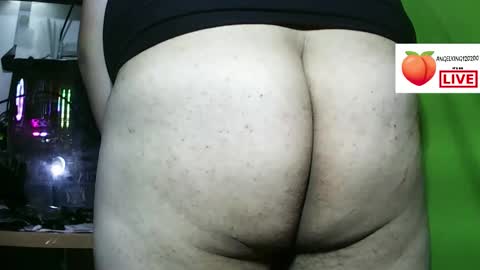 Roy online show from November 8, 7:33 am