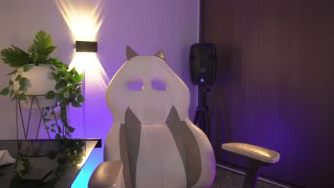 insta appolo master online show from February 4, 4:08 pm