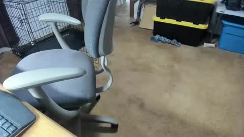 armalite16 online show from January 16, 5:10 am