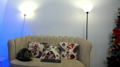   online show from December 15, 2:19 am