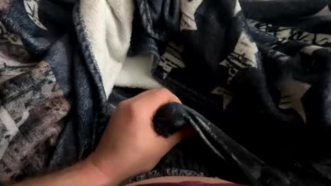 averagecock696969 online show from January 15, 4:04 am