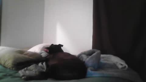 ayr129 online show from November 13, 7:57 am