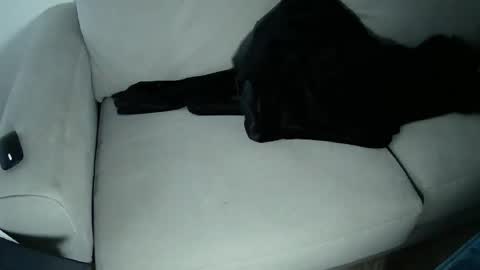 chilled azn online show from February 11, 2:03 am