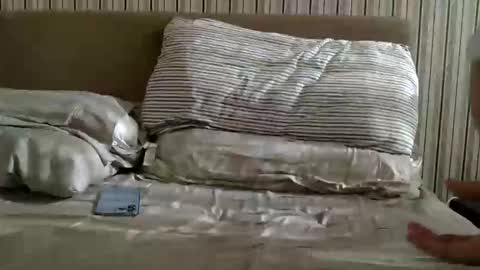 babyplcpg online show from November 17, 10:40 am