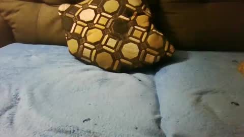 badcady0 online show from September 28, 6:00 am