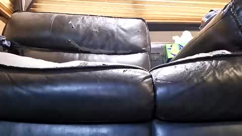 baobabtree8969462 online show from April 29, 1:38 pm