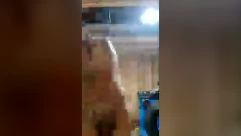 baremustang online show from June 14, 11:07 pm
