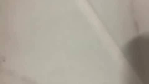 barkley314 online show from October 21, 2:31 pm