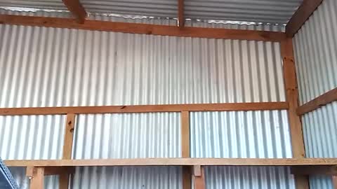 barranquillero32 online show from March 22, 10:15 pm