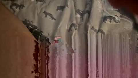 Dr Barry MyCockiner online show from March 9, 2:54 pm