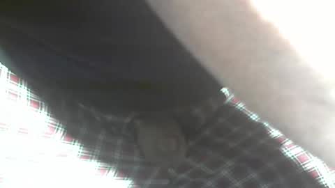  Reservoir Dogs online show from November 21, 4:22 am