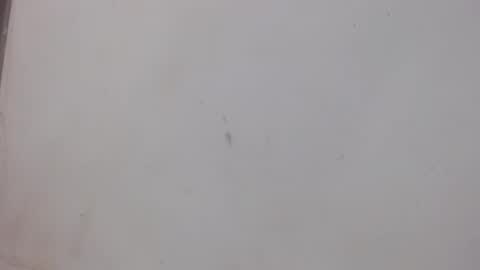 Bergon77 online show from February 1, 1:02 am