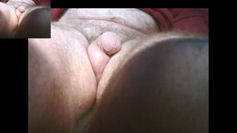 bernardo1968 online show from January 15, 2:46 pm