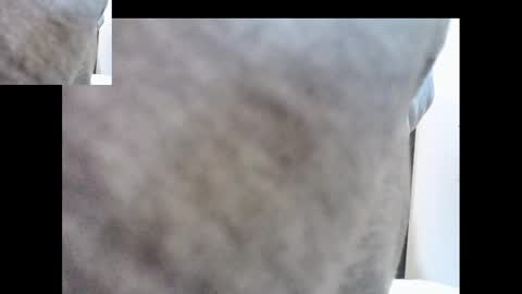 bernardo1968 online show from January 1, 2:41 am