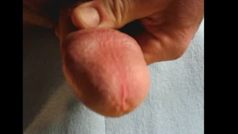 big7mushroom online show from March 2, 7:54 am