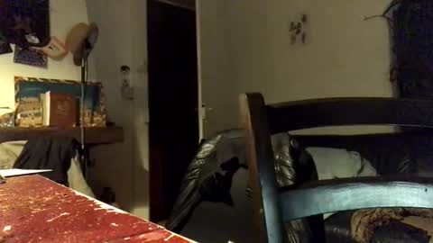 Snapshot of bigboadick chatting on October 14, 12:28 am bigboadick online show from October 14, 12:28 am