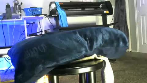 bigboybigbutt69 online show from May 6, 10:27 am