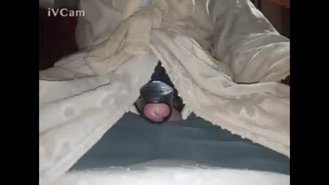 Big online show from January 23, 3:05 am