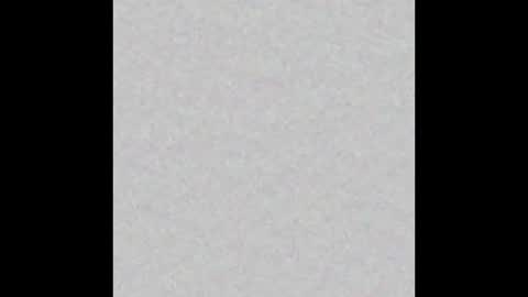 bigotterbro online show from February 4, 2:06 am