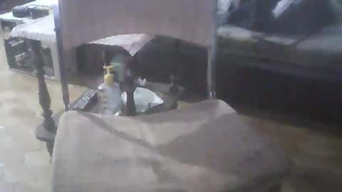 bigpenix online show from April 20, 11:29 pm