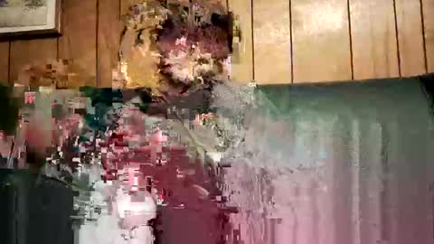 bigwytecock1979 online show from February 3, 1:52 am