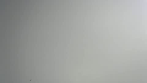 bigxcountry_39 online show from February 15, 3:35 am