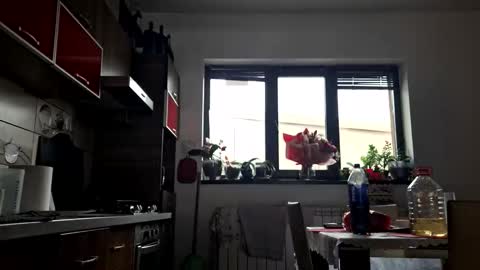 Snapshot of bisexdadd chatting on October 12, 12:21 pm bisexdadd online show from October 12, 12:21 pm